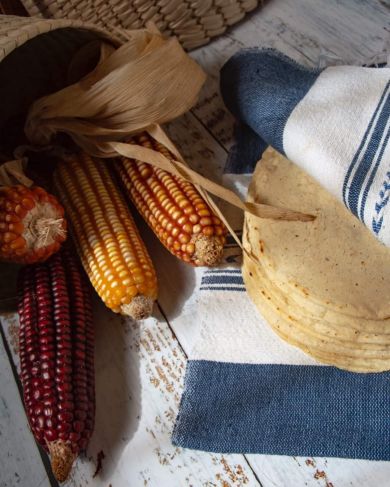 Tortillas con maíz criollo, un impulso para el comercio justo en Yucatán